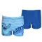 Disney Lilo és Stitch, A csillagkutya Beachside Relax gyerek fürdőnadrág, short 5 - 6 év / 110 - 116 cm