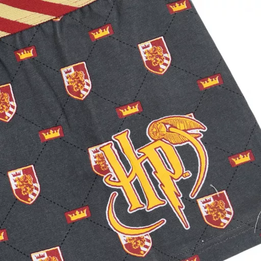 Harry Potter Lion gyerek boxeralsó 2 darab/csomag 8 - 10 év / 128 - 140 cm