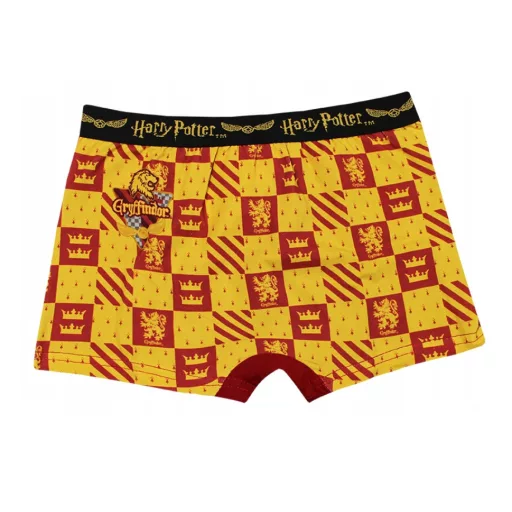 Harry Potter House Pride gyerek boxeralsó 2 darab/csomag 9 - 10 év / 134 - 140 cm