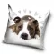 Kutyás Pit Bull Terrier Cute párnahuzat 40x40 cm