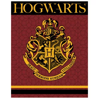 Harry Potter Crest coral fleece polár takaró 120x150cm