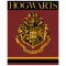 Harry Potter Crest coral fleece polár takaró 120x150cm