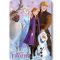 Disney Jégvarázs Winter Friends polár takaró 100x140cm