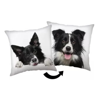 Kutyás Border Collie párna, díszpárna 40x40 cm
