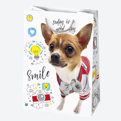 Happy Birthday Friends papír ajándéktasak, ajándékzacskó 23x32x11 cm