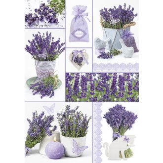 Levendula Moments A/4 gumis mappa