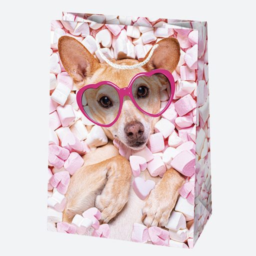 Állatos Cute papír ajándéktasak, ajándékzacskó 23x32x11 cm