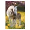 Lovas Spring Foal A/4 gumis mappa