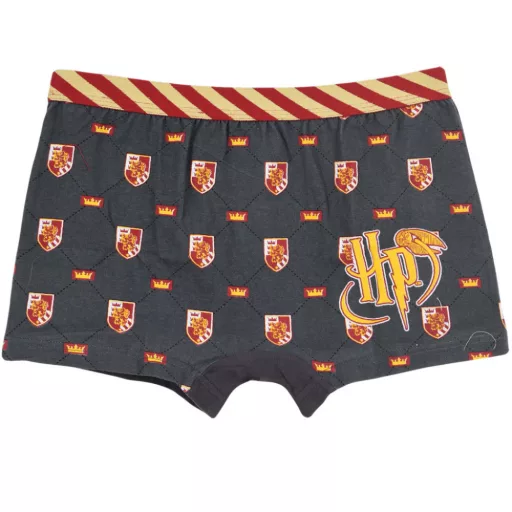 Harry Potter Lion gyerek boxeralsó 2 darab/csomag 6 - 12 év / 116 - 152 cm