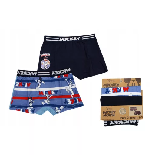 Disney Mickey Motion gyerek boxeralsó 2 darab/csomag 2 - 8 év / 92 - 128 cm