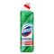 Domestos Protection fertőtlenítő 0% klór Eucalyptus&Wild mint 700 ml
