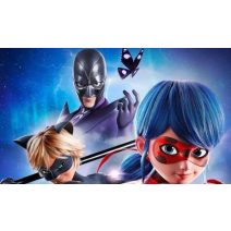 Katicabogár és Fekete Macska kalandjai